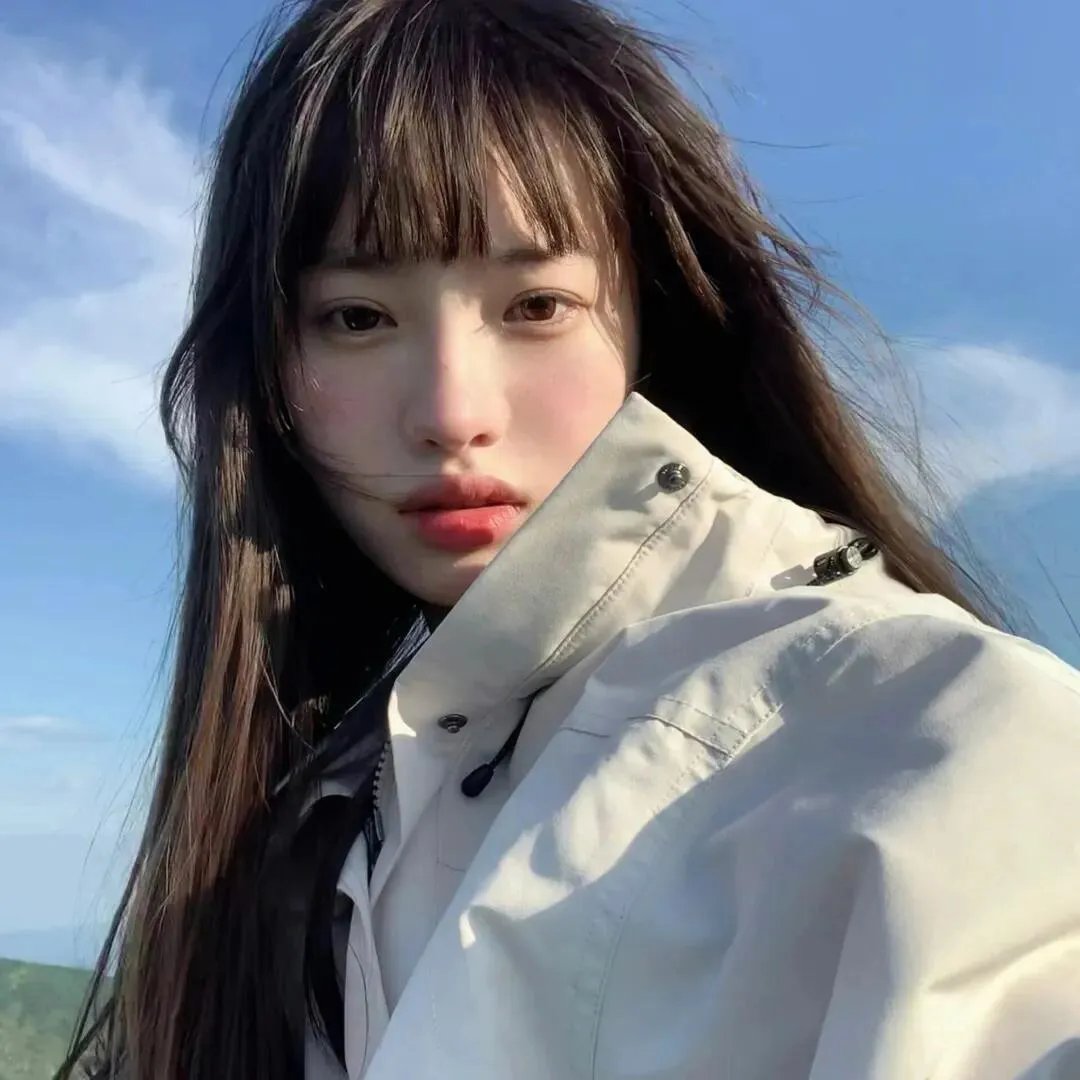 丛林圣诞节